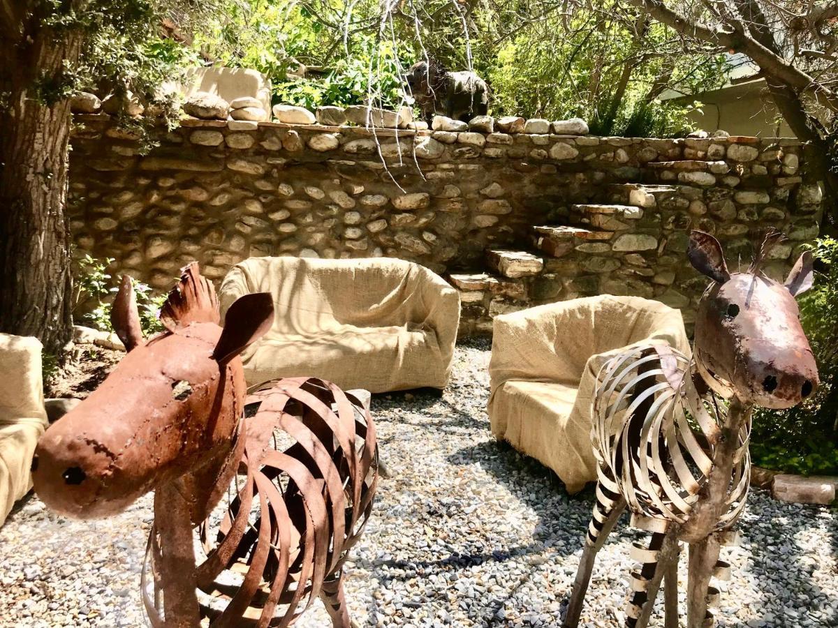 Mountain View Eco Lodge Монтегю Екстер'єр фото