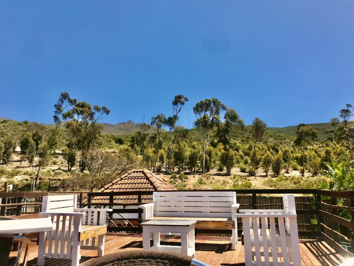 Mountain View Eco Lodge Монтегю Екстер'єр фото
