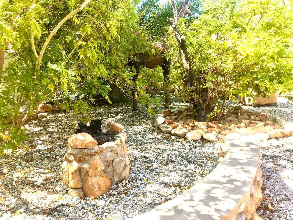 Mountain View Eco Lodge Монтегю Екстер'єр фото