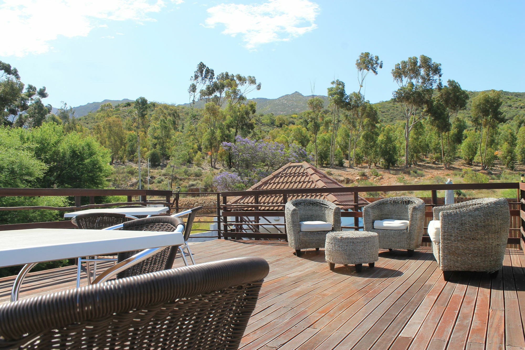 Mountain View Eco Lodge Монтегю Екстер'єр фото