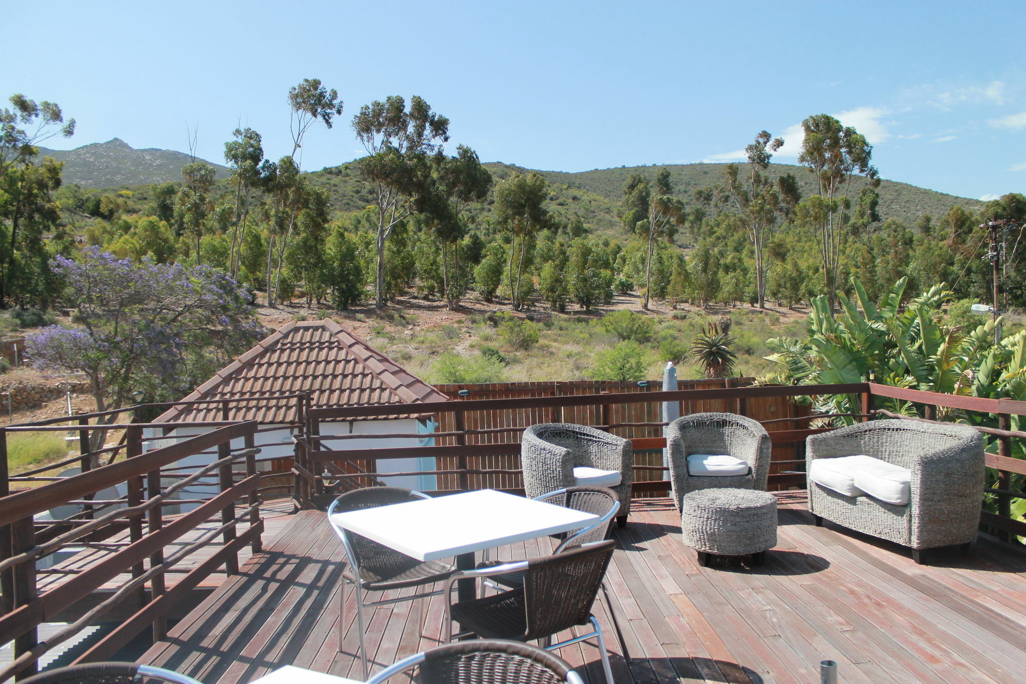 Mountain View Eco Lodge Монтегю Екстер'єр фото